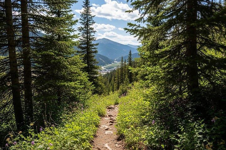 Full-Day San Juan Mountains Tour: Durango to Ouray via Molas Pass & Million Dollar Highway photo 4