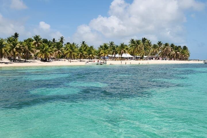 Isla Saona VIP Day Trip from Punta Cana — Beaches, Snorkel & Turtle Sanctuary