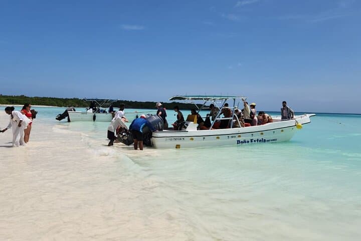 Isla Saona VIP Day Trip from Punta Cana — Beaches, Snorkel & Turtle Sanctuary photo 6