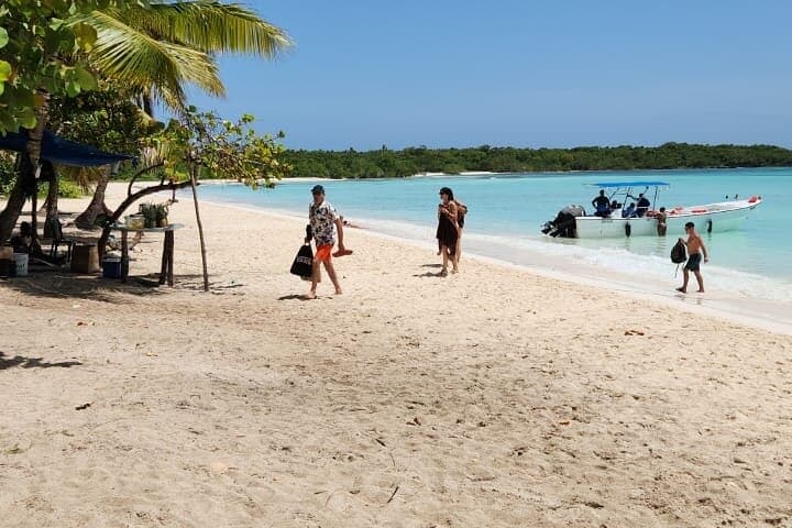 Isla Saona VIP Day Trip from Punta Cana — Beaches, Snorkel & Turtle Sanctuary photo 2