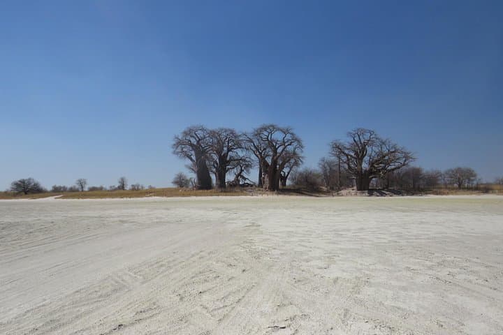 6-Day Desert & Pan Explorer Safari in Botswana — Kalahari, Nxai Pan & Makgadikgadi photo 1