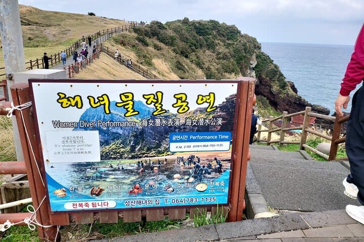 Jeju Haenyeo & Waterfall Private Tour: Seongsan Ilchulbong to Jeongbang Falls