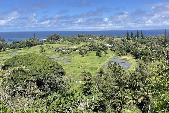 Full-Day Road to Hana Guided Tour: Bamboo Forests, Waterfalls & Black Sand Beaches photo 2