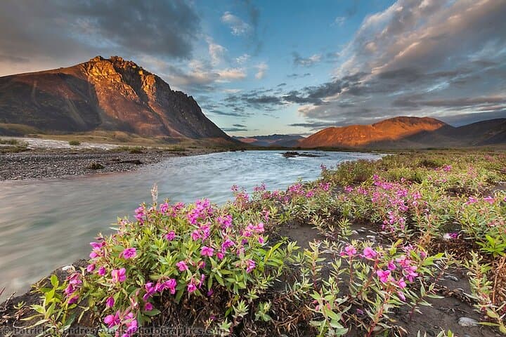 6-Day Grand Alaska Tour for Ages 50+ — Seward to Denali Highlights photo 3