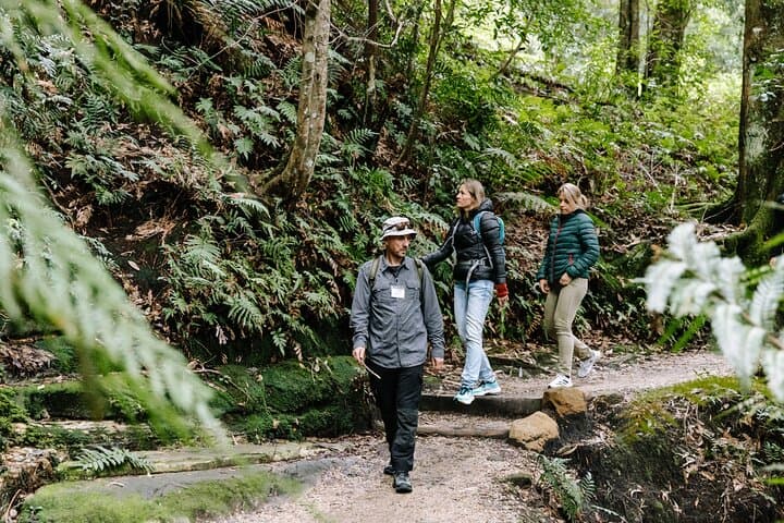 Blue Mountains Day Trip from Sydney: Wildlife Park, Waterfalls & Three Sisters photo 3