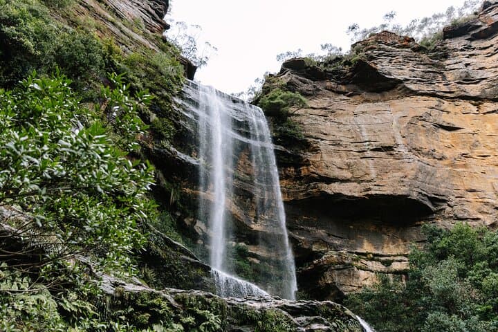 Blue Mountains Day Trip from Sydney: Wildlife Park, Waterfalls & Three Sisters photo 2