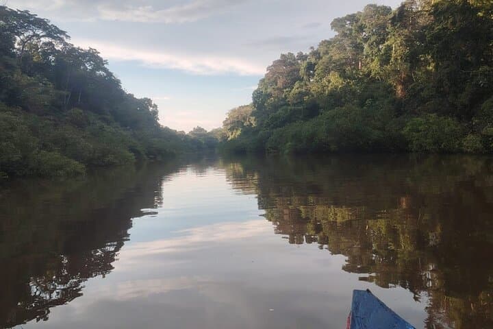 3-Day Amazon Rainforest Tour from Iquitos — Rivers, Pink Dolphins & Indigenous Culture