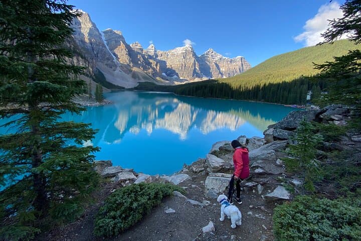 Dog-Friendly Banff Day Tour to Lake Louise & Moraine Lake photo 2