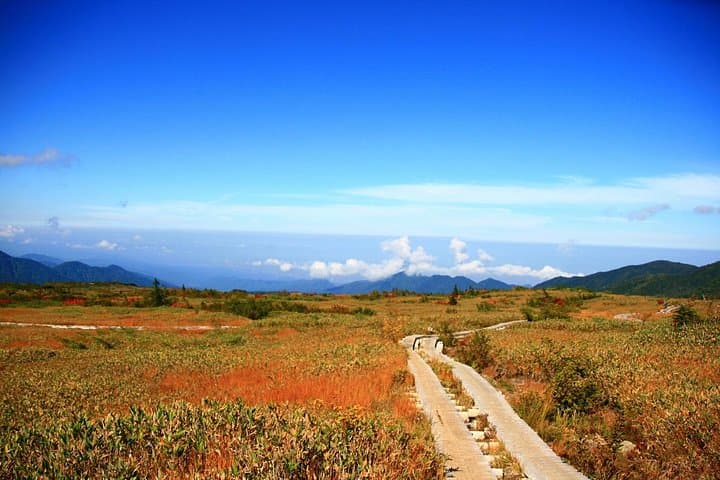 Tateyama Day Trip from Kanazawa: Shomyo Falls, Midagahara & Murodo Hikes photo 2