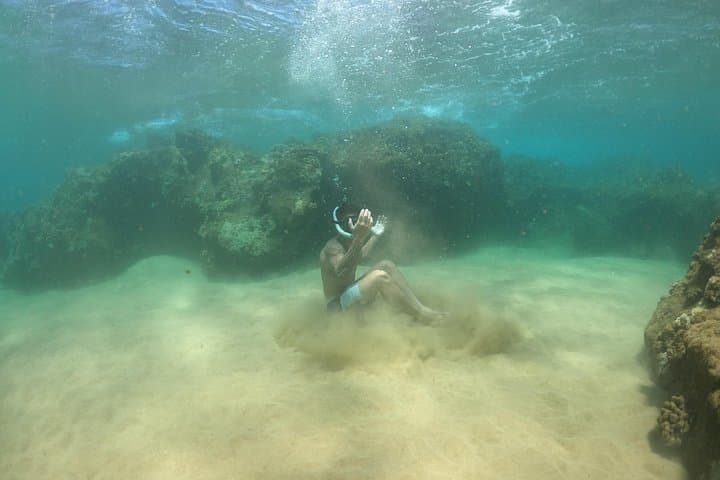 Lahaina Reef Snorkeling Adventure: Olowalu Snorkel Tour in Maui photo 2