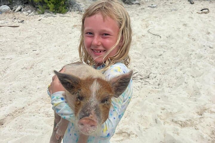 Private Nassau Swim with Pigs, Turtles & Snorkel: Rose Island Charter photo 4
