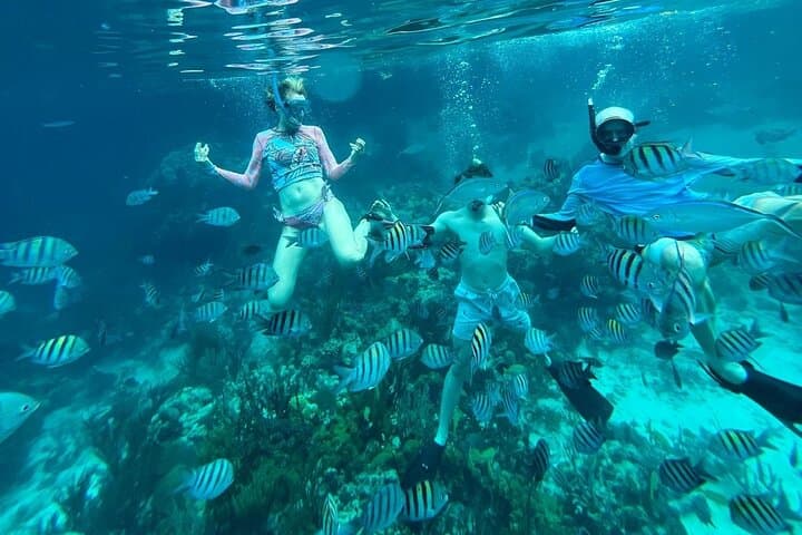Private Nassau Swim with Pigs, Turtles & Snorkel: Rose Island Charter photo 6