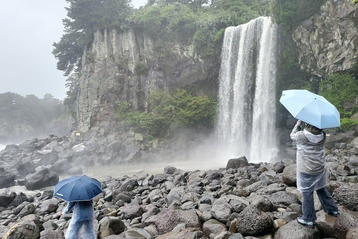 Private Jeju Spirited Garden & South Coast Tour — Jusangjeolli, Gotjawal & O'sulloc photo 5