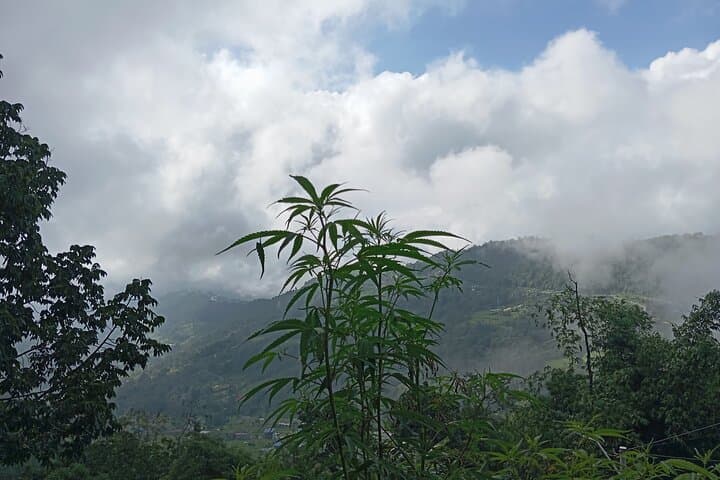 Australian Camp Day Hike — Pokhara Scenic Trek to Annapurna Views photo 5