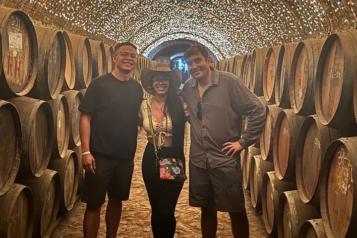 Tequila Jalisco Day Tour: Agave Fields, Amatitán Grottoes & Distillery Tasting photo 5