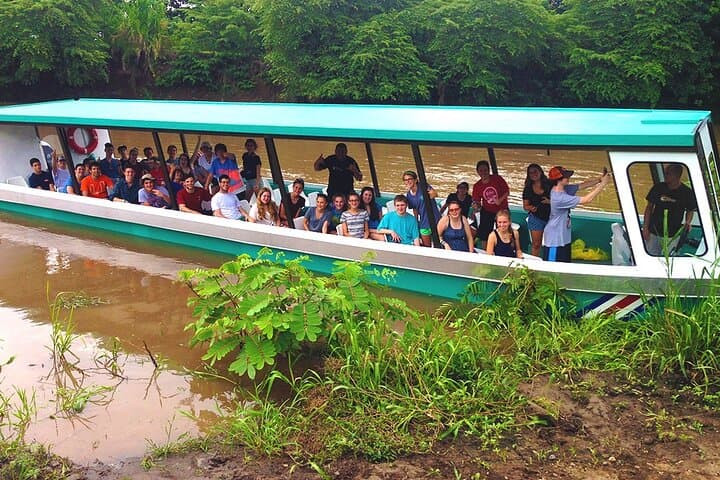 Tarcoles River Crocodile Boat Tour — Up-Close Wildlife Cruise from Jaco