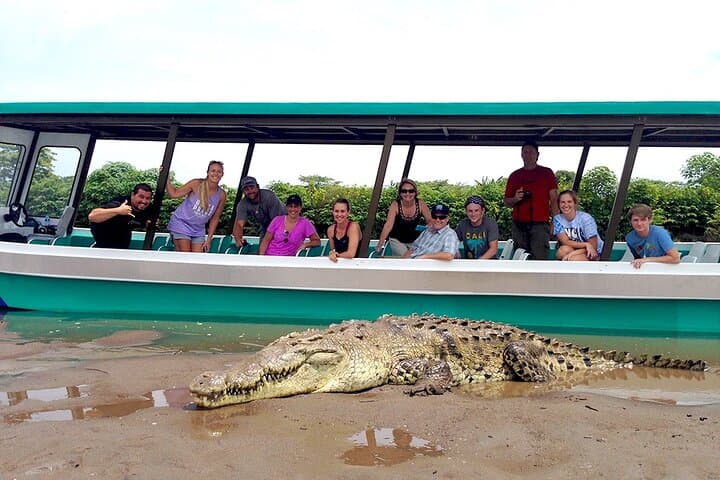 Tarcoles River Crocodile Boat Tour — Up-Close Wildlife Cruise from Jaco photo 5