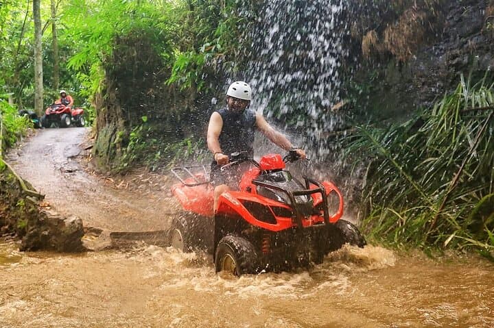 Ubud ATV Quad Adventure in Singapadu: Rice Fields, Jungle Tracks & Lunch photo 3