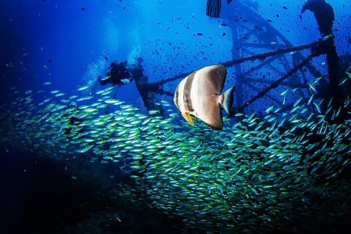 2-Day PADI Advanced Open Water Diver Course in Koh Chang — Deep & Navigation Training photo 3
