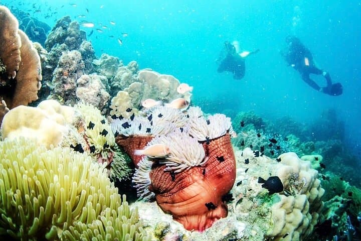 Koh Chang Discover Scuba Diving: 1-Day Two-Dive Intro for Non-Divers photo 5