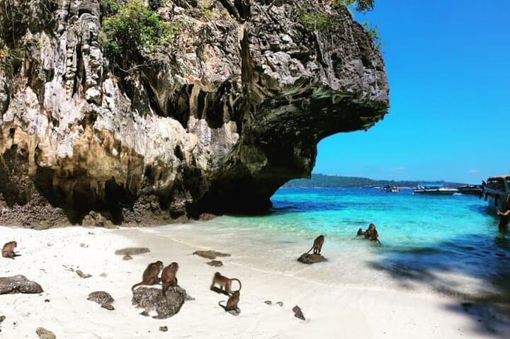 Phi Phi Islands Speedboat Tour from Krabi — Maya Bay, Pileh Lagoon & Snorkeling photo 5