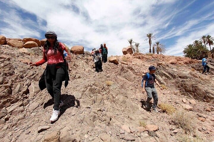 Sunrise on Mount Sinai: Overnight Hike and St. Catherine's Monastery Tour from Sharm El Sheikh photo 2