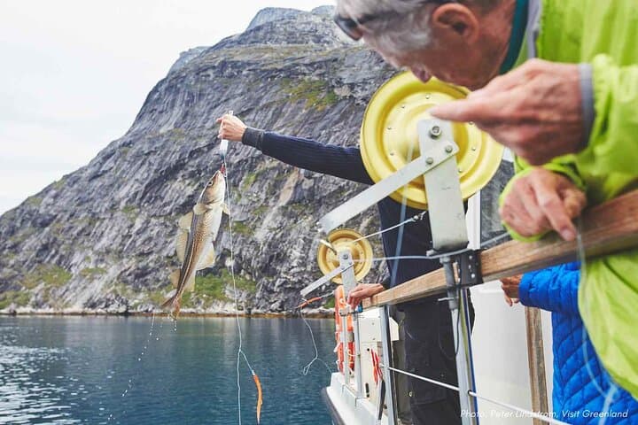 Nuuk Fjord Boat Tour and Greenlandic Picnic: Icebergs, Foraging & Local Stories