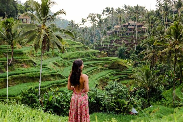 Ubud Premium Escape: Private Day Tour to Tegalalang, Tegenungan & Monkey Forest photo 1
