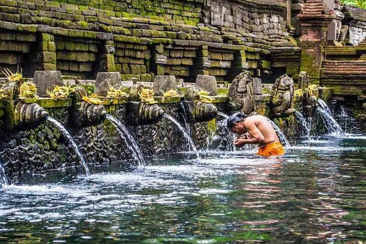Ubud Premium Escape: Private Day Tour to Tegalalang, Tegenungan & Monkey Forest photo 3