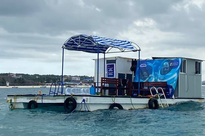 Underwater Helmet Walk at Nungwi — Zanzibar Sea Walk Experience photo 4