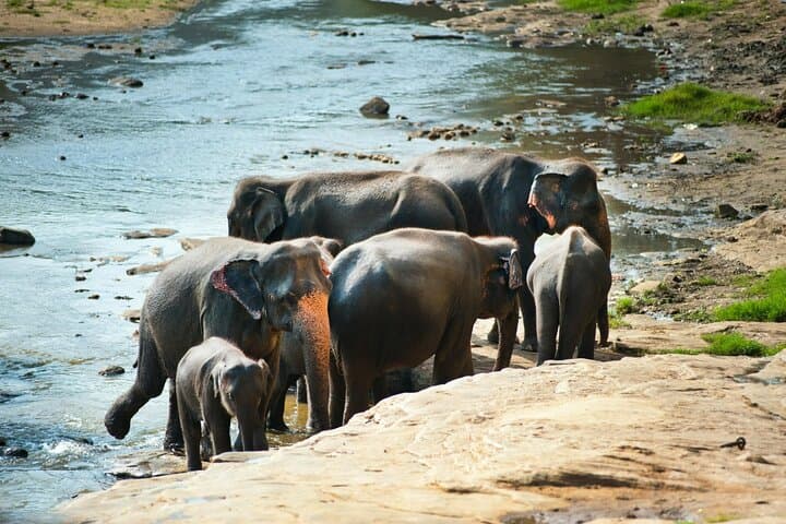 Five-Day Private Sri Lanka Highlights Tour: Sigiriya, Kandy, Ella & Nuwara Eliya photo 1