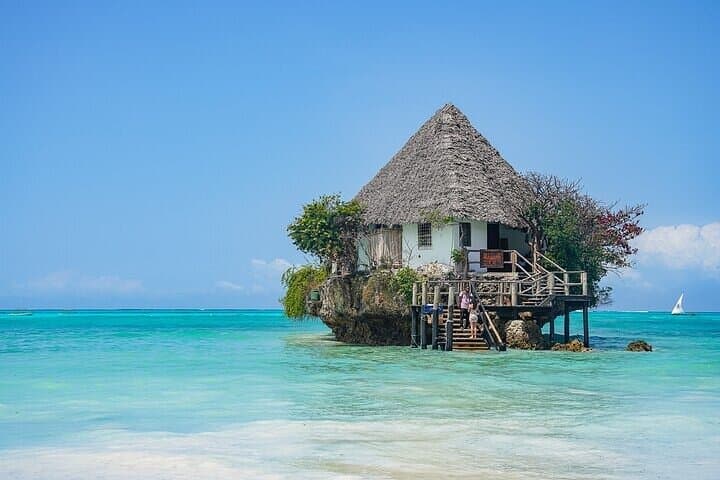 Jozani Forest & The Rock Restaurant: A Zanzibar Day Trip to Red Colobus and Oceanfront Dining photo 4