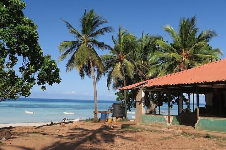 Jozani Forest & The Rock Restaurant: A Zanzibar Day Trip to Red Colobus and Oceanfront Dining photo 5