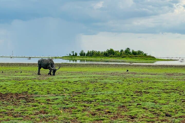 Siem Reap Countryside Jeep Tour: Market Visits, Noodle Making & Sunset Over Rice Fields photo 3