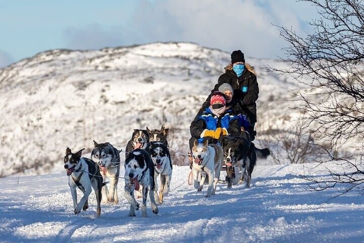 5 km Husky Safari from Levi — Arctic Sled Ride & Farm Visit photo 3