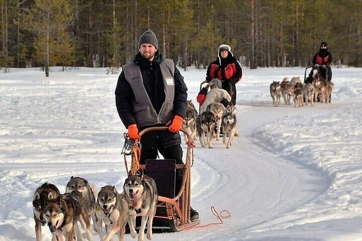5 km Husky Safari from Levi — Arctic Sled Ride & Farm Visit photo 4