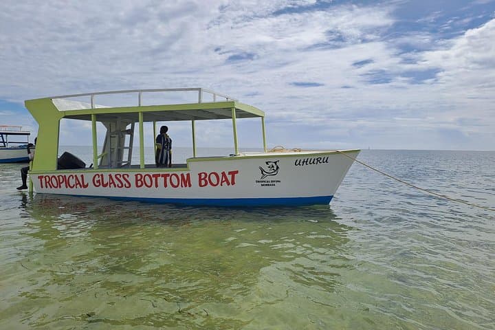 Mombasa Creek Safari and Coral Gardens Snorkel — Half-Day Adventure
