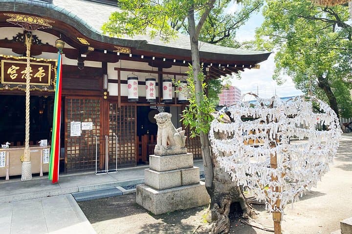Matsubara Historic Cycling Tour with Kawachi Duck Lunch — Osaka Day Experience photo 3