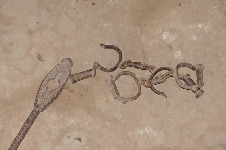 Overnight Georgetown Safari: River Gambia Wildlife & Cultural Camp Experience photo 2