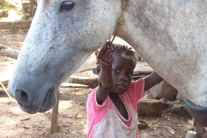 Overnight Georgetown Safari: River Gambia Wildlife & Cultural Camp Experience photo 5