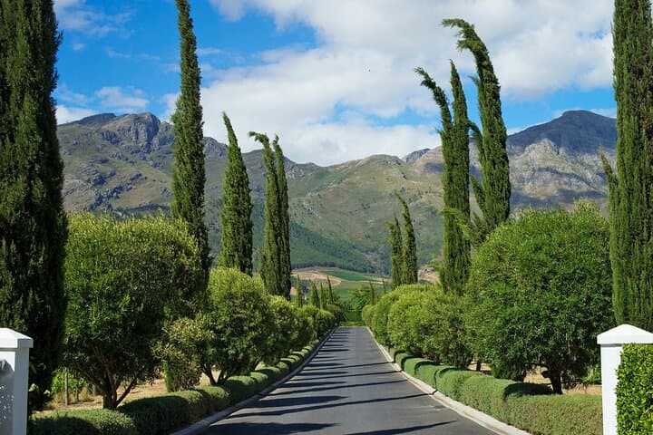 Franschhoek and Stellenbosch Wine Tour: Tastings, Pairings & Lunch from Cape Town photo 3