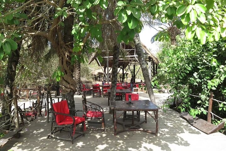 Makasutu Eco Adventure — Forest Walk, Boat Trip & Palm Wine Tasting photo 4
