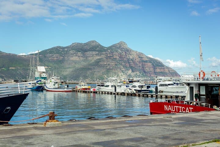 Cape Town in 3 Days: Table Mountain, Penguins & Winelands