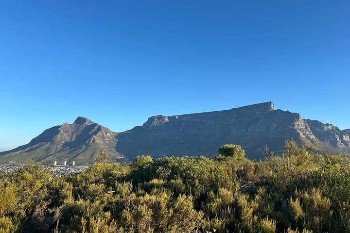 Cape Town in 3 Days: Table Mountain, Penguins & Winelands photo 6