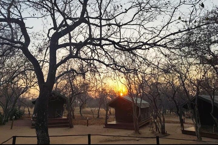 5-Day Kruger Glamping Safari & Panorama Route: Orpen-Satara Big Five Adventure photo 2