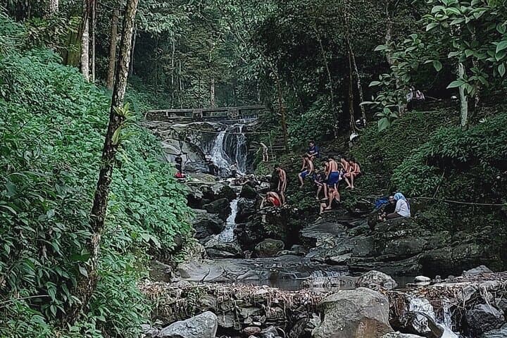 Full-Day Bogor Botanical Garden, Rice Fields & Nangka Waterfall Tour from Jakarta photo 3