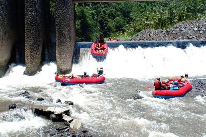 Telaga Waja River Rafting & Zipline — 18km Whitewater Adventure in Bali photo 6