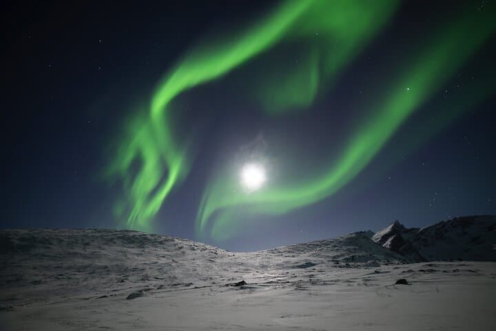 Tromsø Ørnfløya Snowshoe Hike — Blue-Hour Views and Northern Lights photo 2