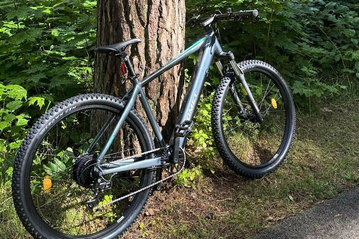 Explore Riga by E‑Bike: Electric Bike Rental with Helmet & Lock photo 2