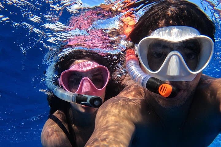 Half-Day Catamaran Snorkel Tour to Iguana Island — Providenciales photo 6